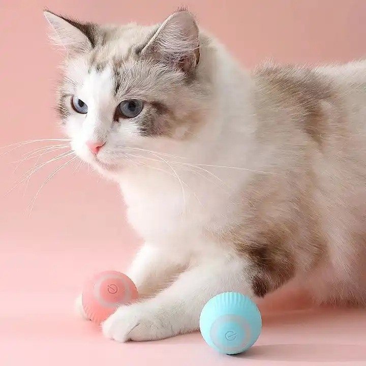 Cat Toy - Aktivering av rörlig boll / Boltrörelser för katt Cat Toy - Aktivering av rörlig boll / Boltrörelser för katt