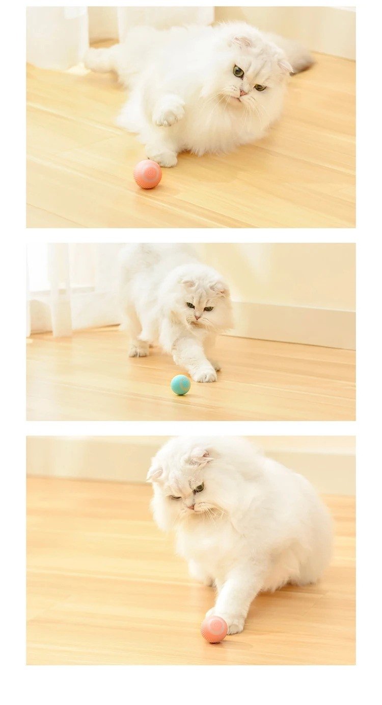 Cat Toy - Aktivering av rörlig boll / Boltrörelser för katt Cat Toy - Aktivering av rörlig boll / Boltrörelser för katt