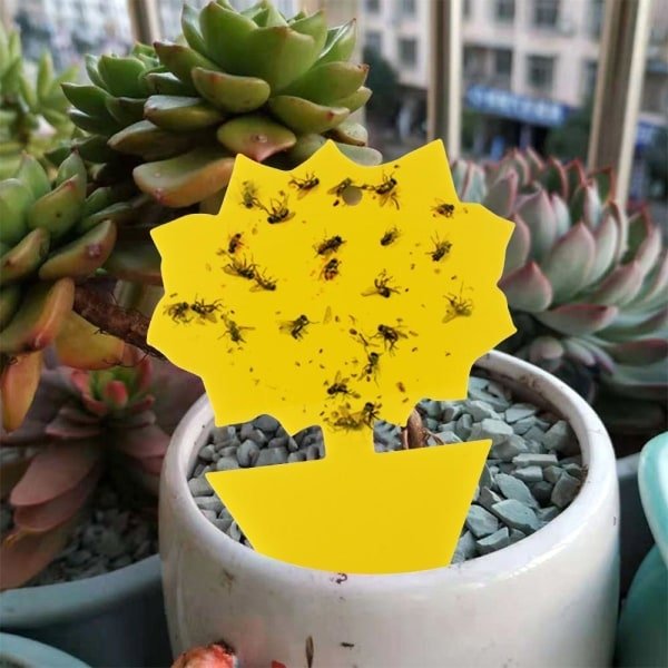 50-pack Insektsfångare - Flugfälla - Söta och Effektiva FJÄRILAR. 50-pack Insektsfångare - Flugfälla - Söta och Effektiva FJÄRILAR.